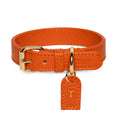 Load image into Gallery viewer, Limited Edition Pink Harness